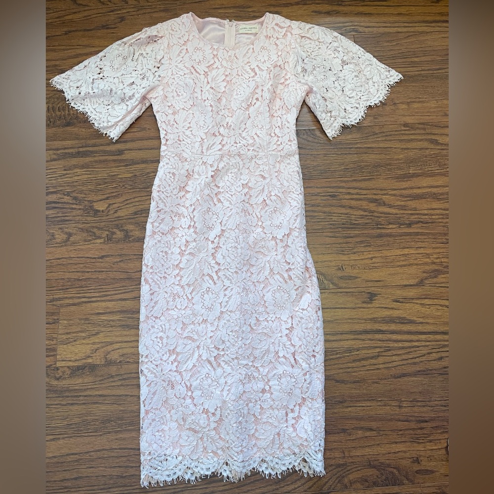 Rachel Parcell Pink Lace Romantic Flutter Sleeve Mid-length Dress